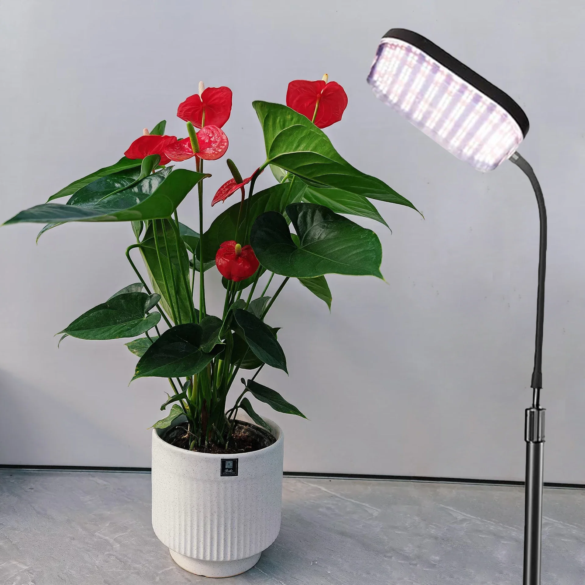 

6000K Full Spectrum LED Grow Light - Adjustable Height Plant Lamp for Home Office Indoor Plants