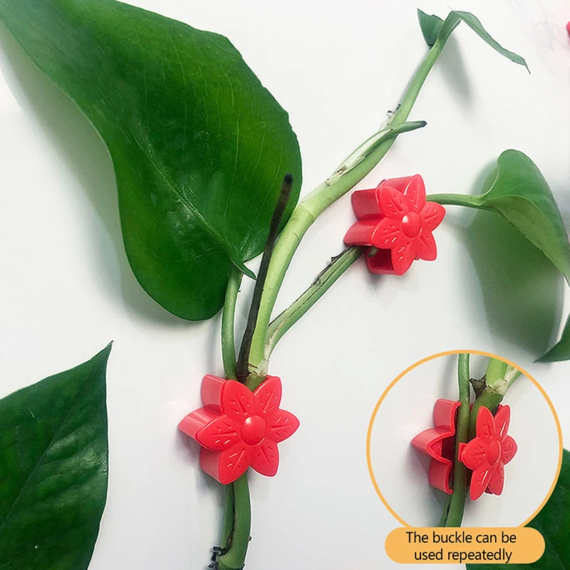 10PCS Pianta Arrampicata Apparecchio A Parete Pinze Rattan Vite Fixer Gancio Autoadesivo Invisibile Giardino Vincolante Clip Da Parete Appiccicoso Clip