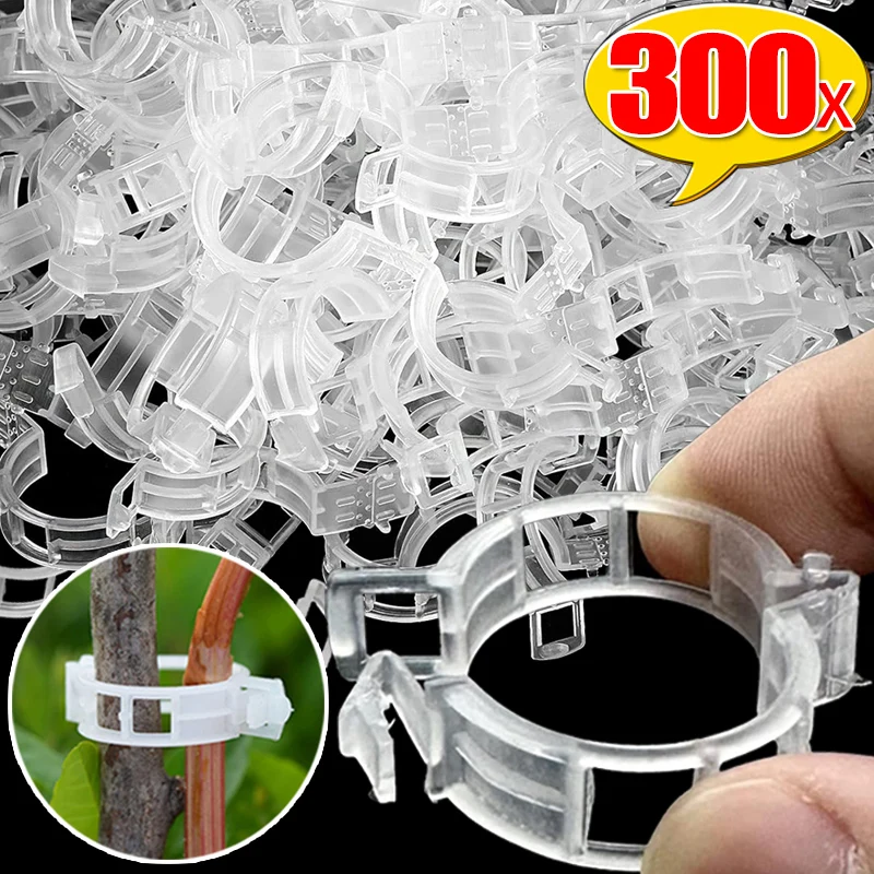 

300/50PCS Plastic Plant Supports Clips Reusable Connects Plant Vine Protection Grafting Fixing Tool for Vegetable Tomato Garden