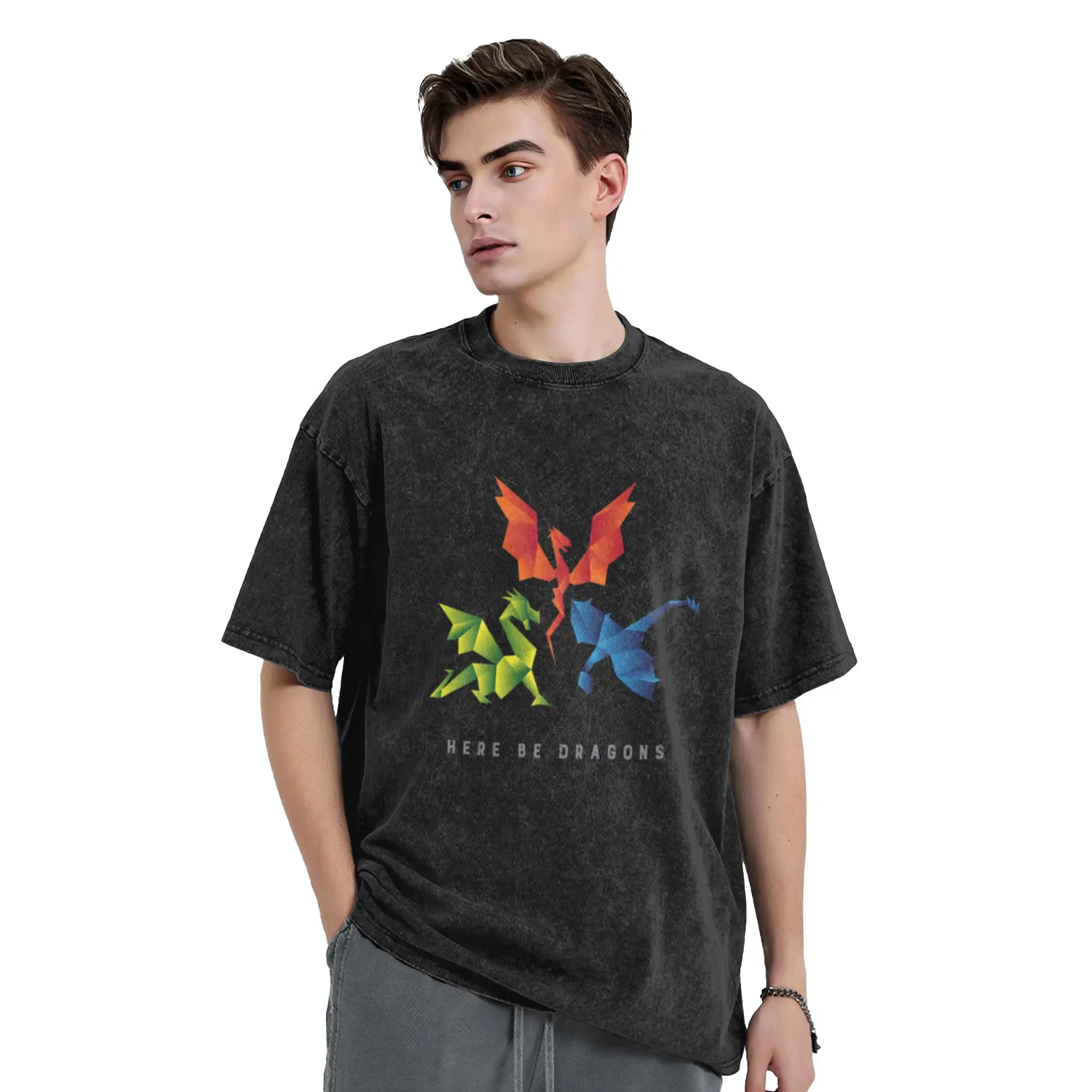 SCP-1762 Where The Dragons Went Origami Style Dragons  Classic Chic A Washed T Shirt Men's Women's Oversized Cotton Tees Tops