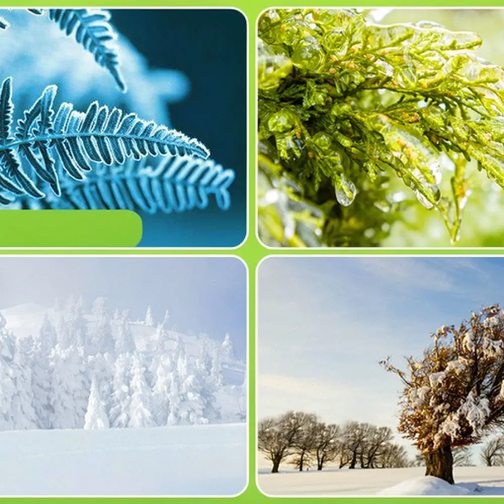 Plant Winter Protection Burlap Cover Drawstring Frost Guard Bag For Fruit Tree Seedling Garden Shrubs Cold Resistance