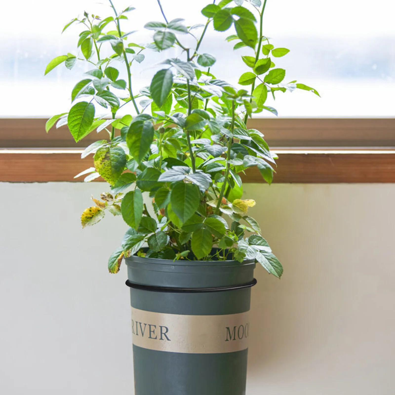 Elegant Wall Flower Pot Hanging Rings for 15cm 17cm 21cm Sizes Perfect for Balconies and Small Spaces Set of 4