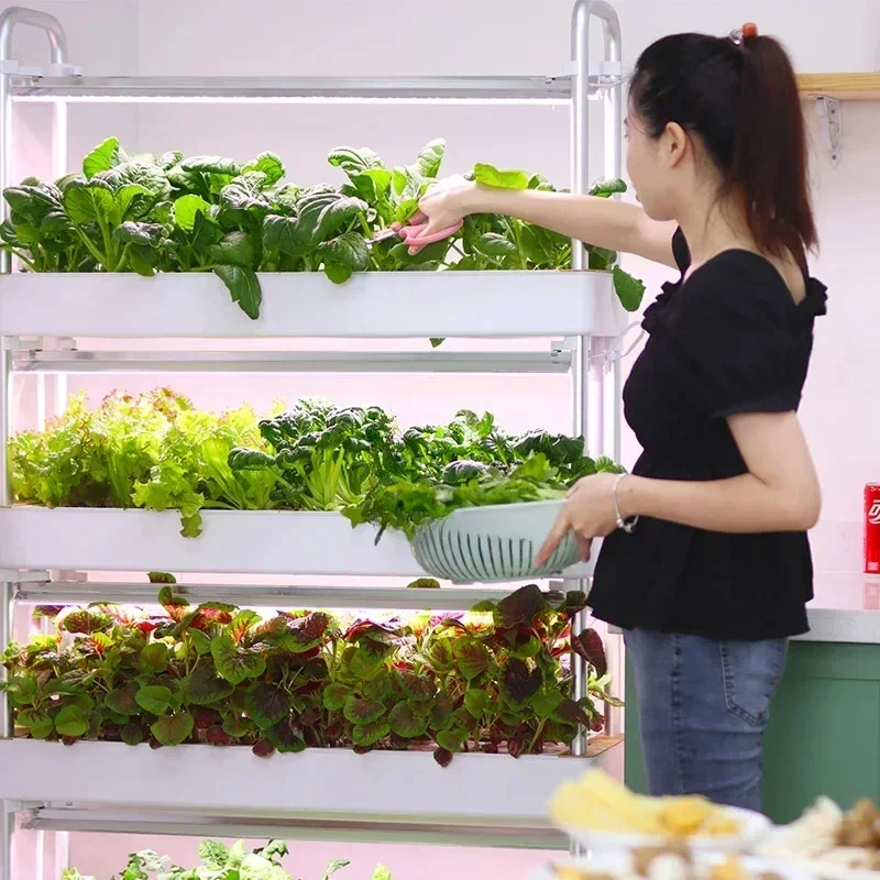 Multi-layer Vegetable Planting Machine Smart Hydroponic System Indoor Balcony Hydroponic Vertical Soilless Cultivation Equipment