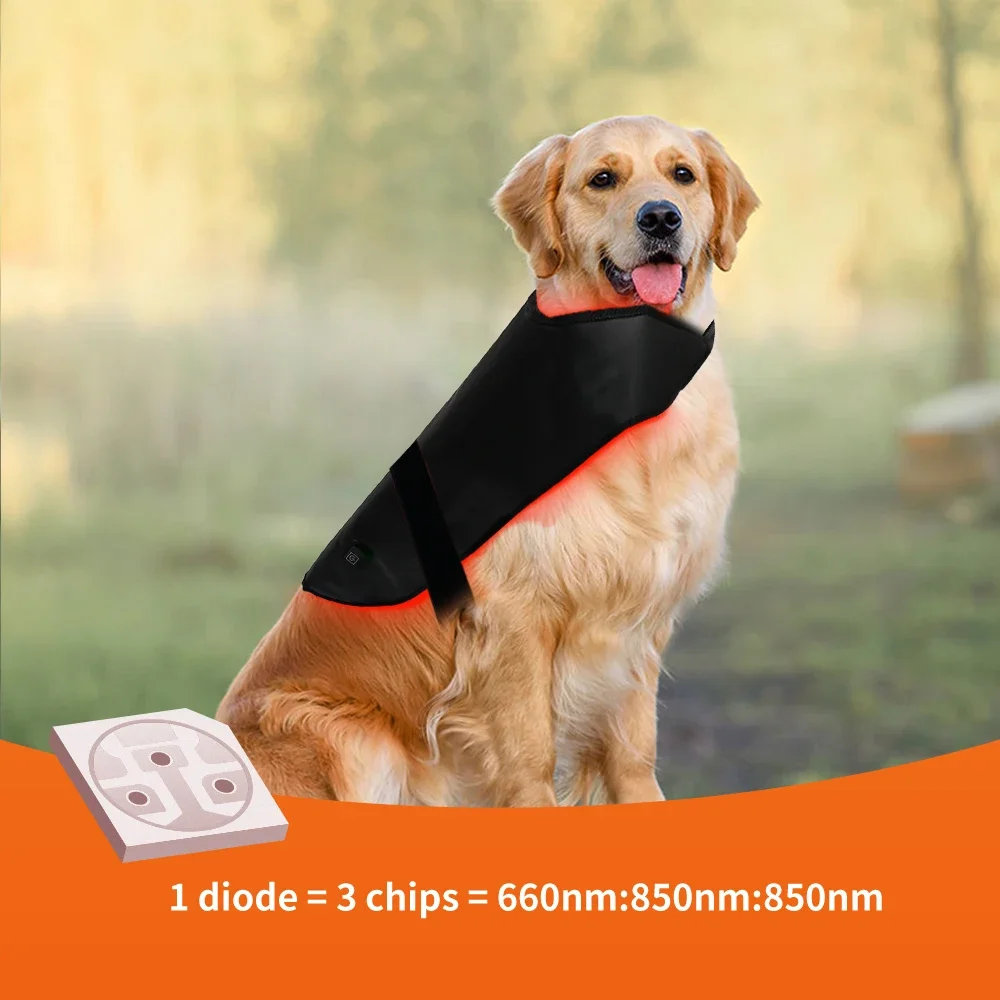 

Customizable 6 Levels Dog Back Therapy Wrap 660/850nm Infrared Red Light Therapy Vet Mat