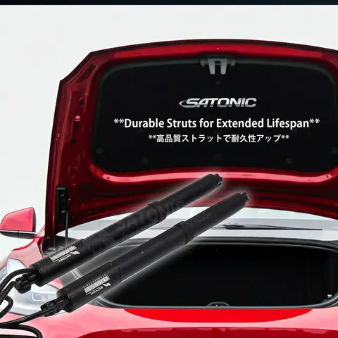 6 best sales Tesla Model 3 Frank - №2