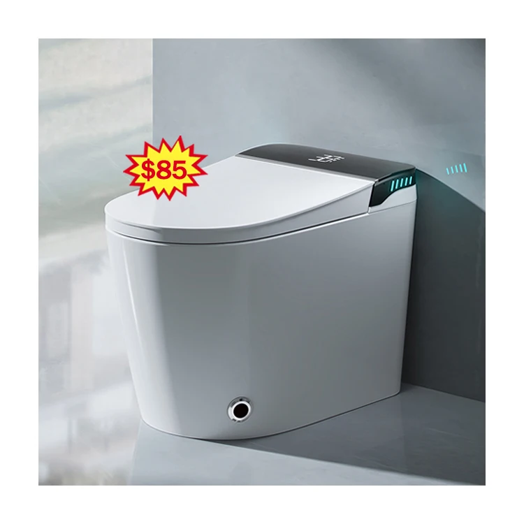 

Sanitary Ware Bathroom Floor Mounted Intelligent Toilet Bidet Water Closet Automatic Ceramic Smart Toilet Bowl