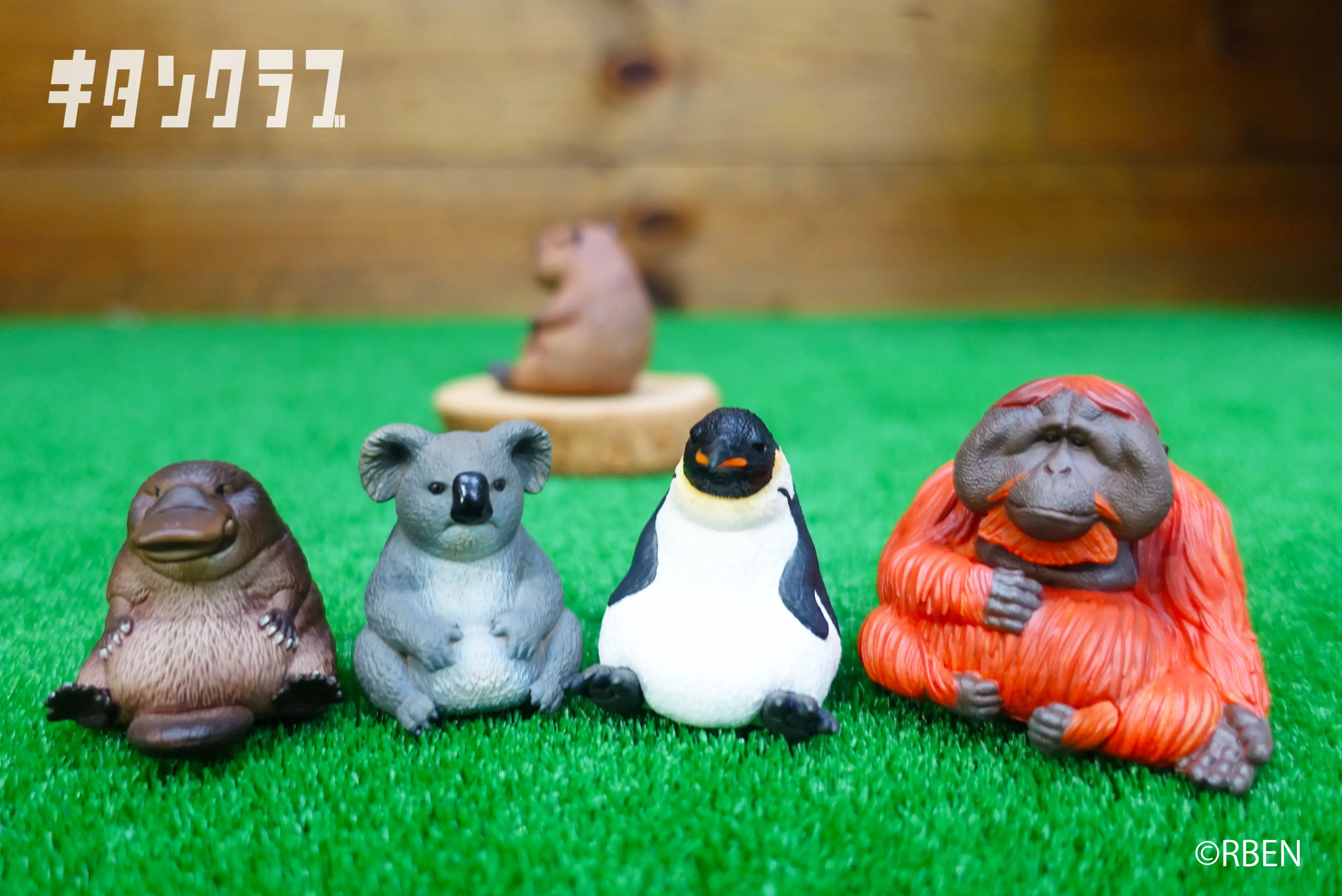 كيتان لعبة الكبسولات RBEN STUDIO الحيوان الشكل التميمة الجزء 4 kawaii الدهنية يجلس Orangutans Platypus البطريق كوالا غاشابون الشكل
