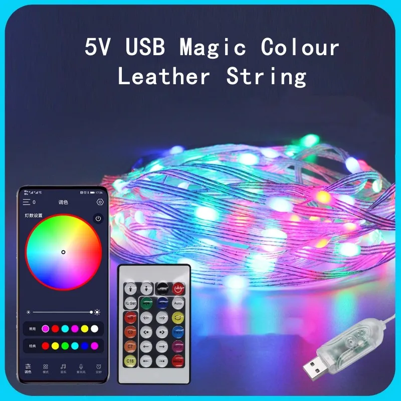 5M 10M 15M 20M 5V LED Magic Color Leather Line Lamp String USB Plug Supports Bluetooth Music Melody Line Lamp Christmas Set