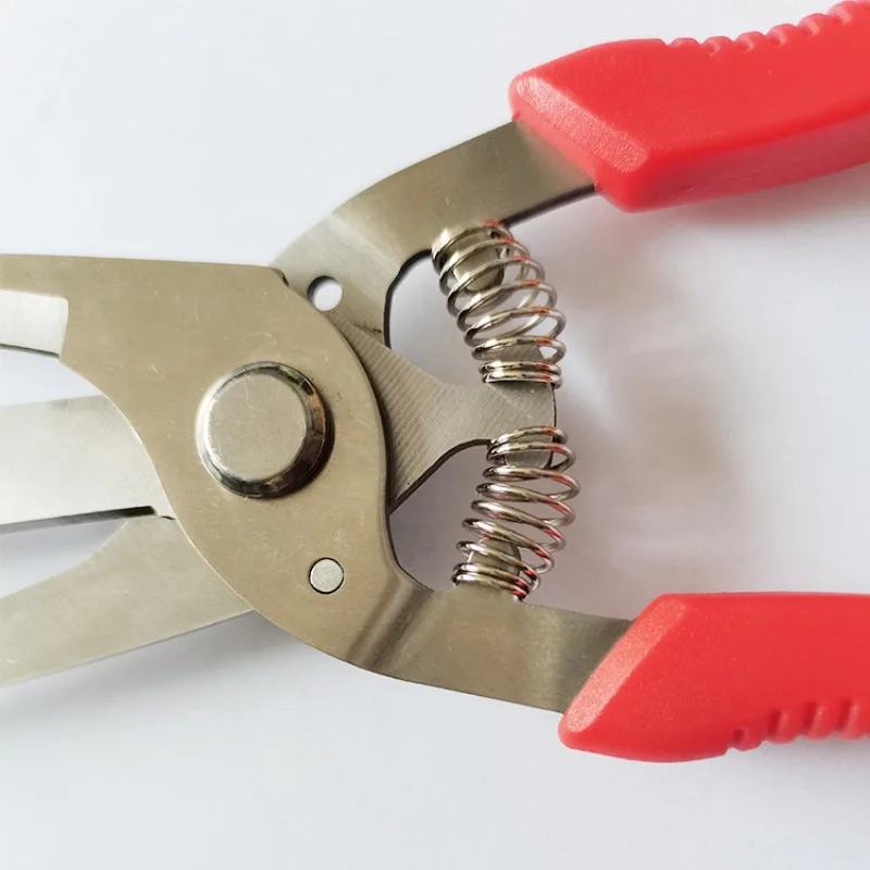 Imagem -03 - Maçã de Dois Gumes Picking Scissors Ferramentas de Jardinagem Fruta Fina e Flor Pêra Kiwi Árvore Fruteira