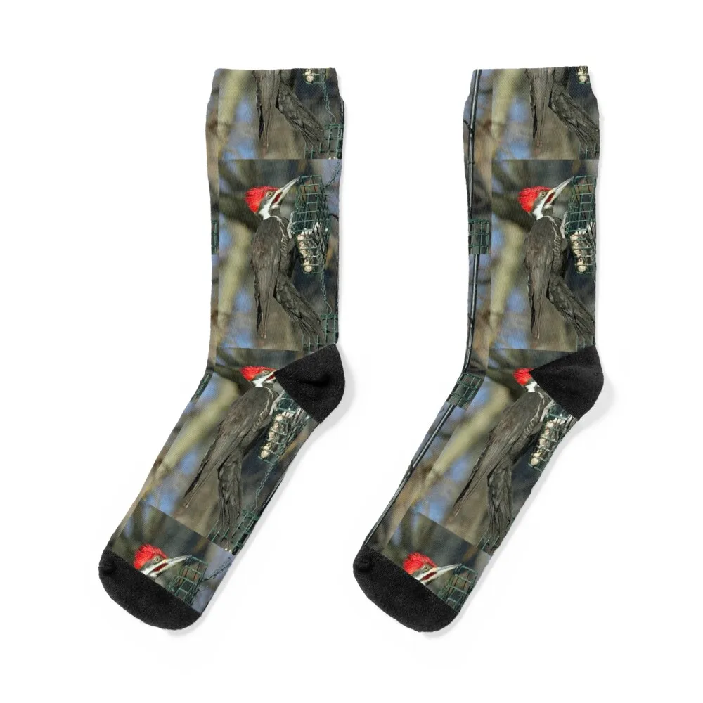 

Pileated Woodpecker Socks warm winter Toe sports kids man Men Socks Women's