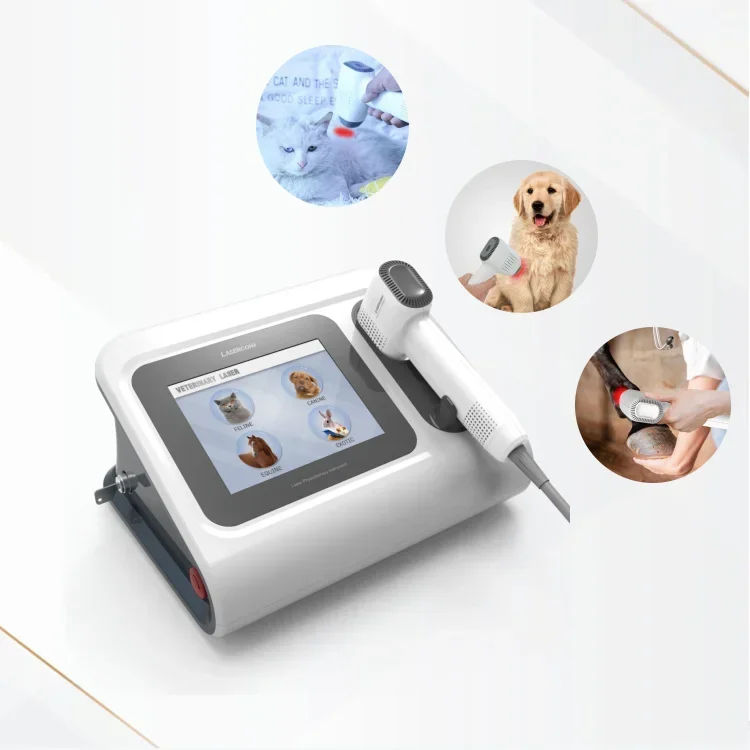 

cold veterinary la-s-er therapy la-s-er medical therapy physiotherapy equipment