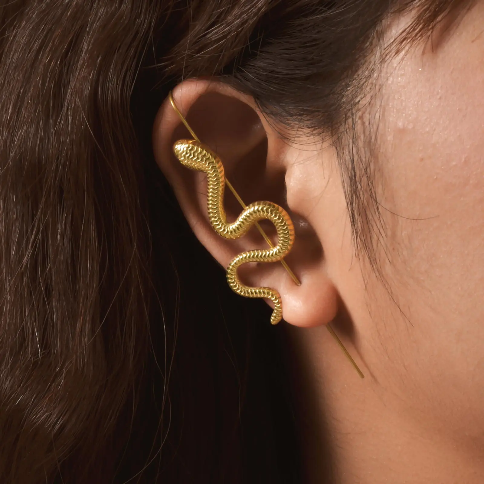 

1pc Stainless Steel Snake Shaped Earrings Ear Hook, Surround Auricle Diagonal Stud Piercing Earrings Women Jewelry Not Allergic