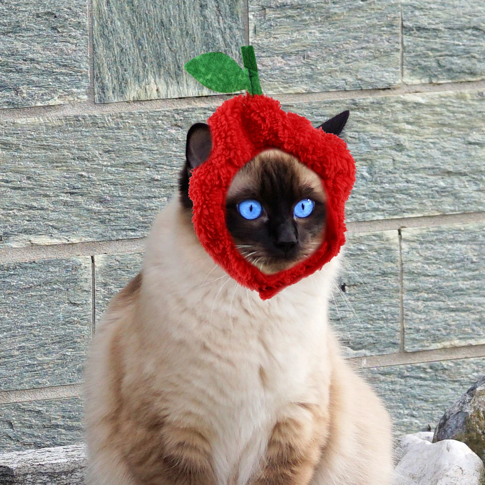 

4 Pcs Pet Hood Sweet Fashionable Dog Cat Cosplay Hat Comfortable Bright Colors Lovely Stylish Pet Costume Fruit Decorative