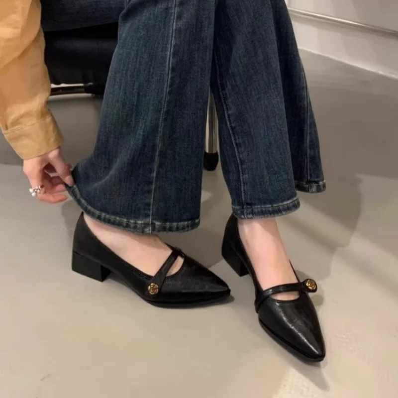 

Французские винтажные туфли Мэри Джейн на массивном каблуке 2026 года, новинка – туфли-лодочки с острым носком и пряжкой в виде камелии, офисные туфли на среднем каблуке для женщин