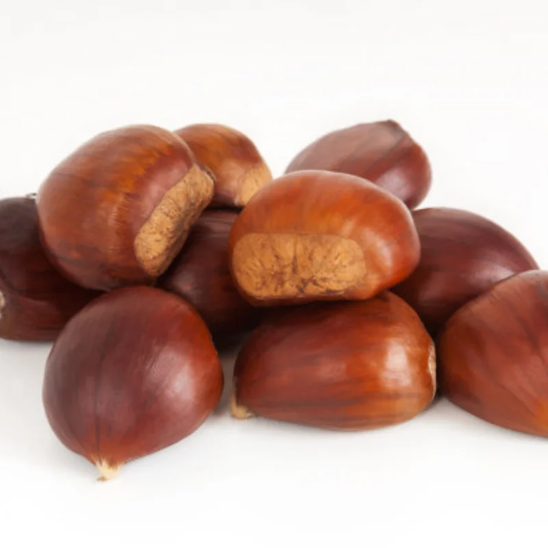 1 Satz verdicktes Auspuffrohr HSP 94122/94166/94106/BQ001 Baja Motorteile Upgrade für Modelle im Maßstab 1:10 Nitro RC Auto