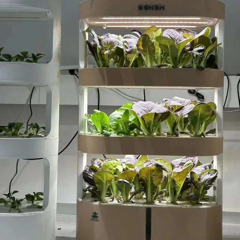 Home Soilless Cultivation Equipment Agricultural Hydroponics System