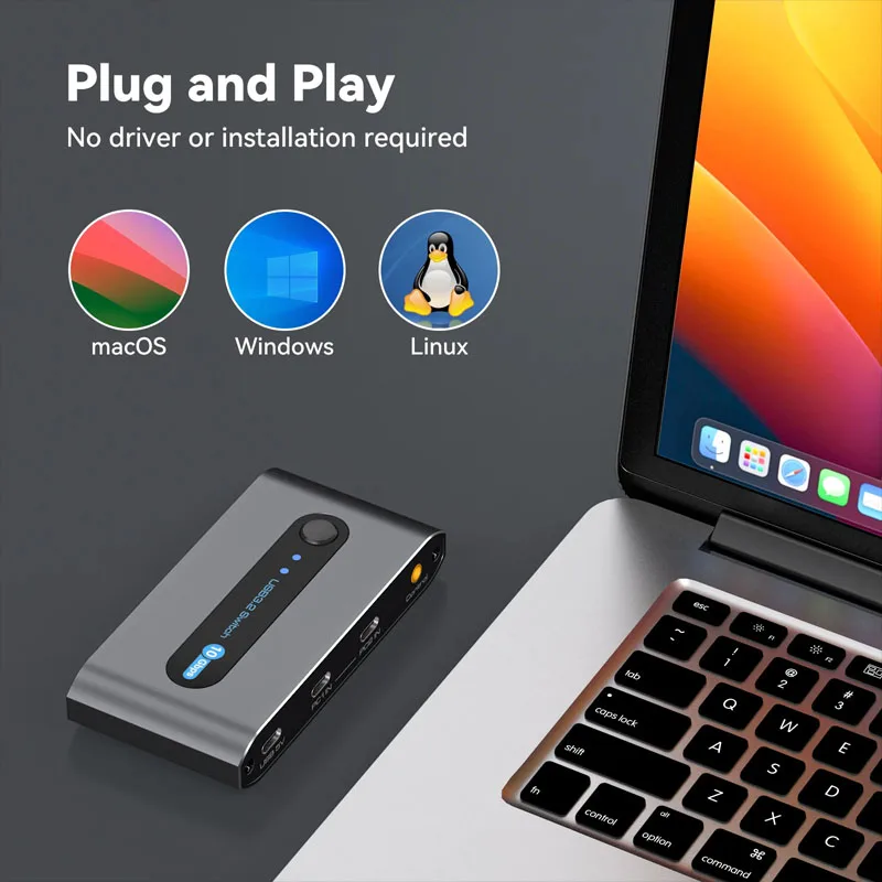 Switch USB da 10 Gbps Ingresso C 2 computer Condividi 4 porte USB 3.2 Selettore interruttore USB per tastiera Mouse Stampante Webcam Controllo desktop