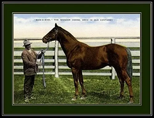 TYmall 12X16 Inch Wall Plate Man-O-War Horse Art Picture Print Vintage Retro Metal Tin Sign sign sign sign