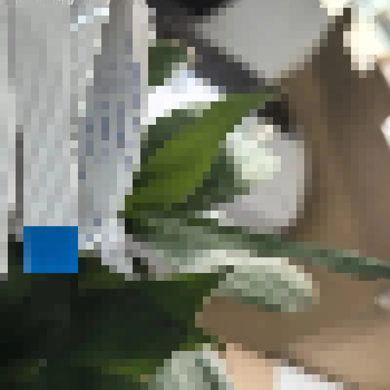 

10X for EPSON L4150 L4156 L4158 L4160 L4163 L4165 L4166 L4168 L4169 L4170 L6160 L6168 L6170 L6178 L6198 Scanner Scan Cable