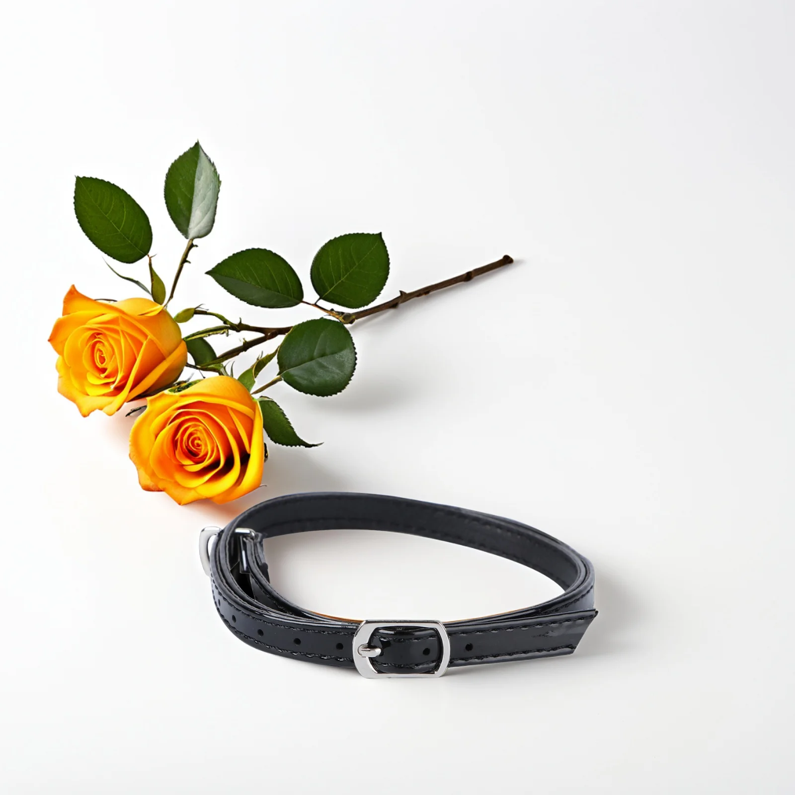 

2pcs Anti drop Detachable High Heel Straps Lightweight Elastic Color Easy Wash for Shoes Ankle Straps Cross Shoe