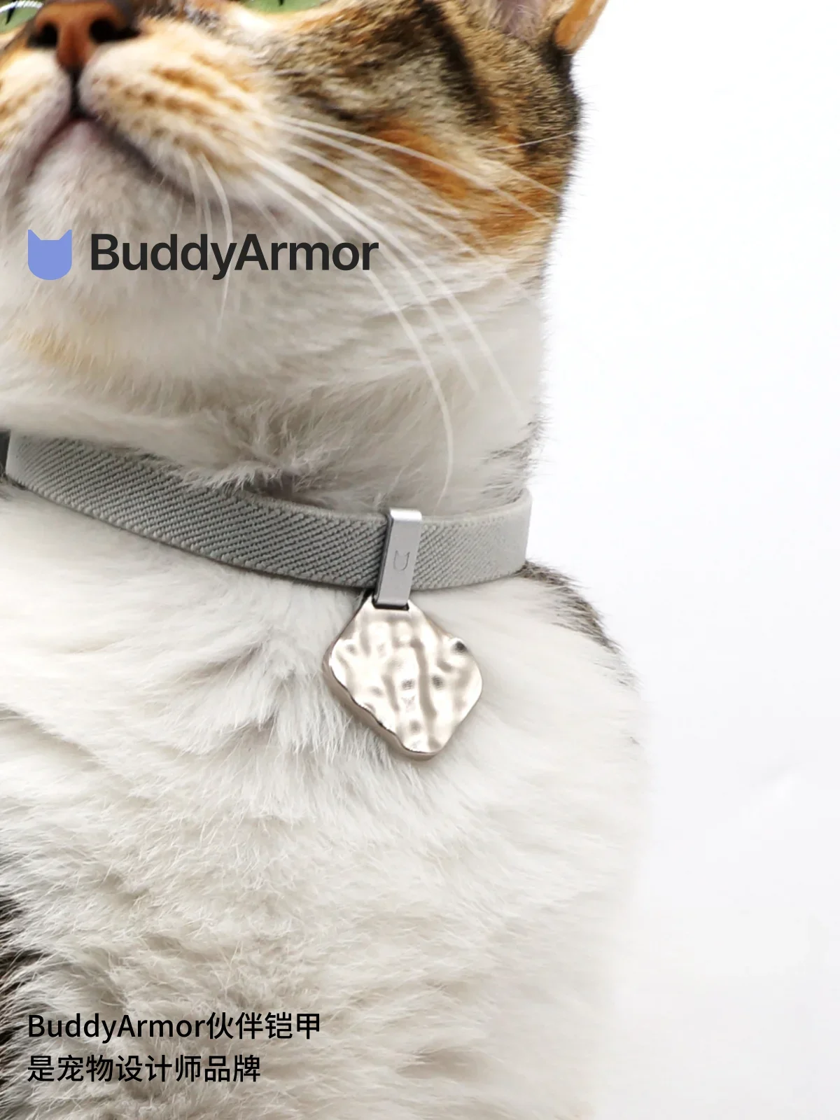 Cat Small Dog Tag Pet Loss-proof Engraved Name Tag Tag Collar Accessories Wave Jewelry