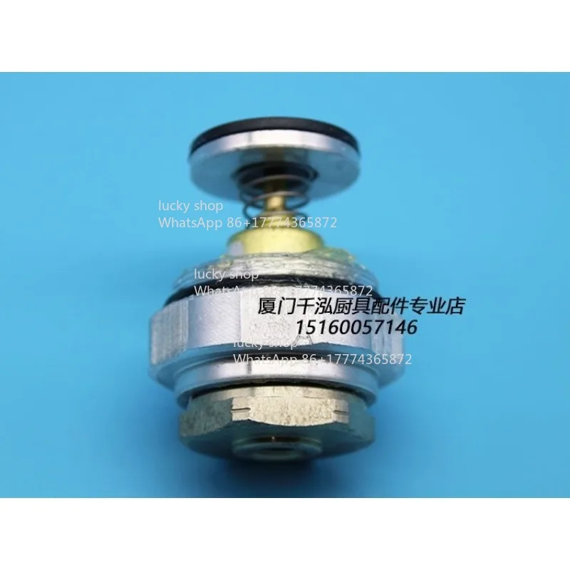 

New Fried Furnace Safety Roast Duck Furnace Gas Valve Tail Core Magnetic S370 S370E 0.2A