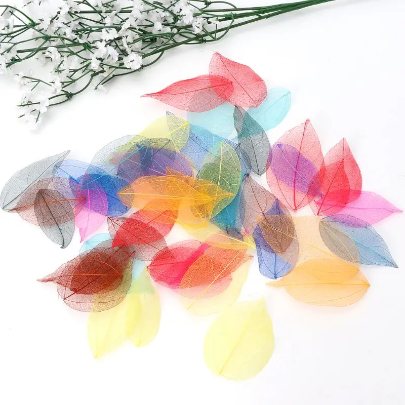 50 Pcs Mixed Color Skeleton Leaves Christmas Wedding Gifts Packing Material