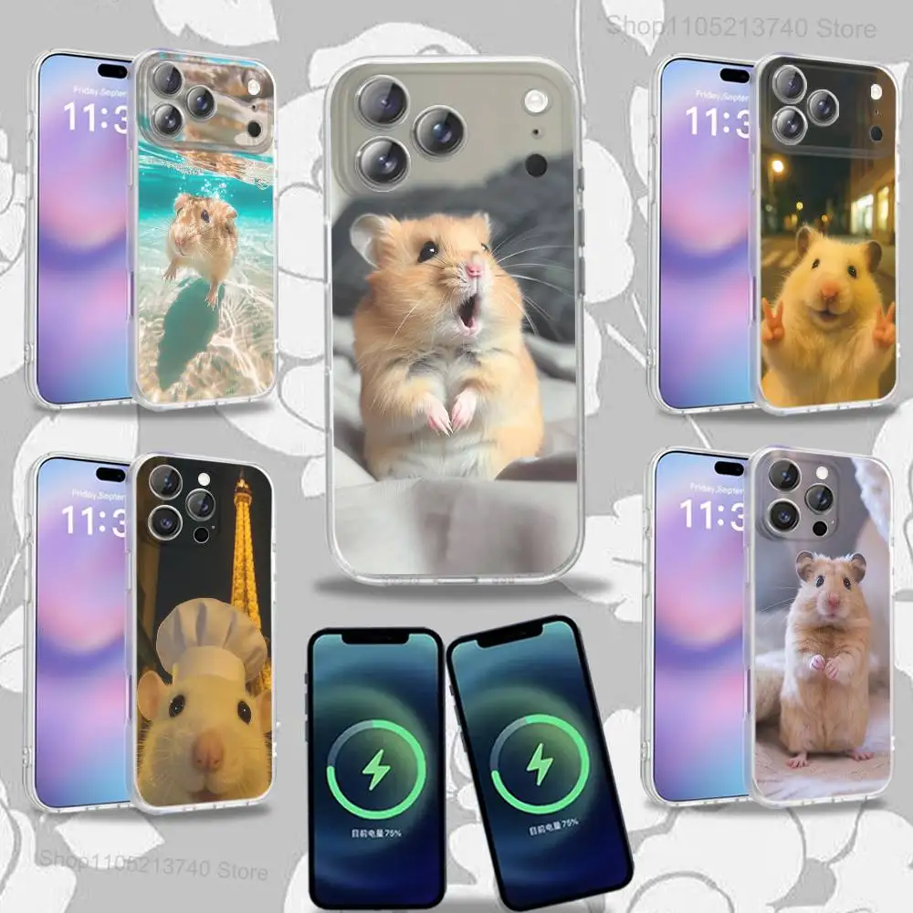 

Animal H-Hamster FluffyS For iPhone 17,12,11,14,13,15,16,Plus,Air,Pro,Max,E,Mini for Magsafe Magnetic Frosted Phone Case
