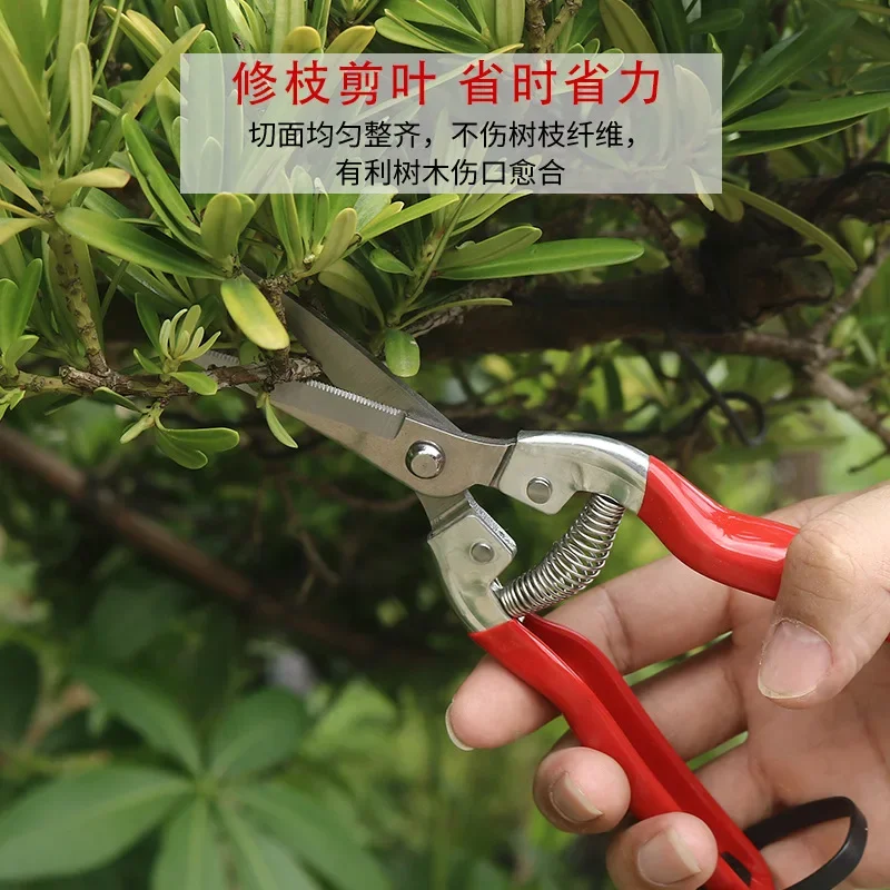 Gardening Hand Pruner Garden Scissors Pruning Shears Micro-Tip Pruning Snips Plant Leaf Trimmer Straight Florist Scissor