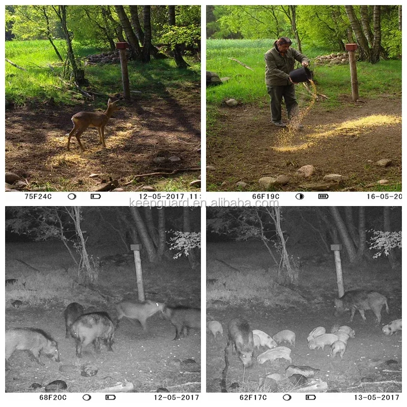 Keepguard Outdoor Mms Gsm Gprs 3G Tail Hunting Camera Scouting Trial Camera