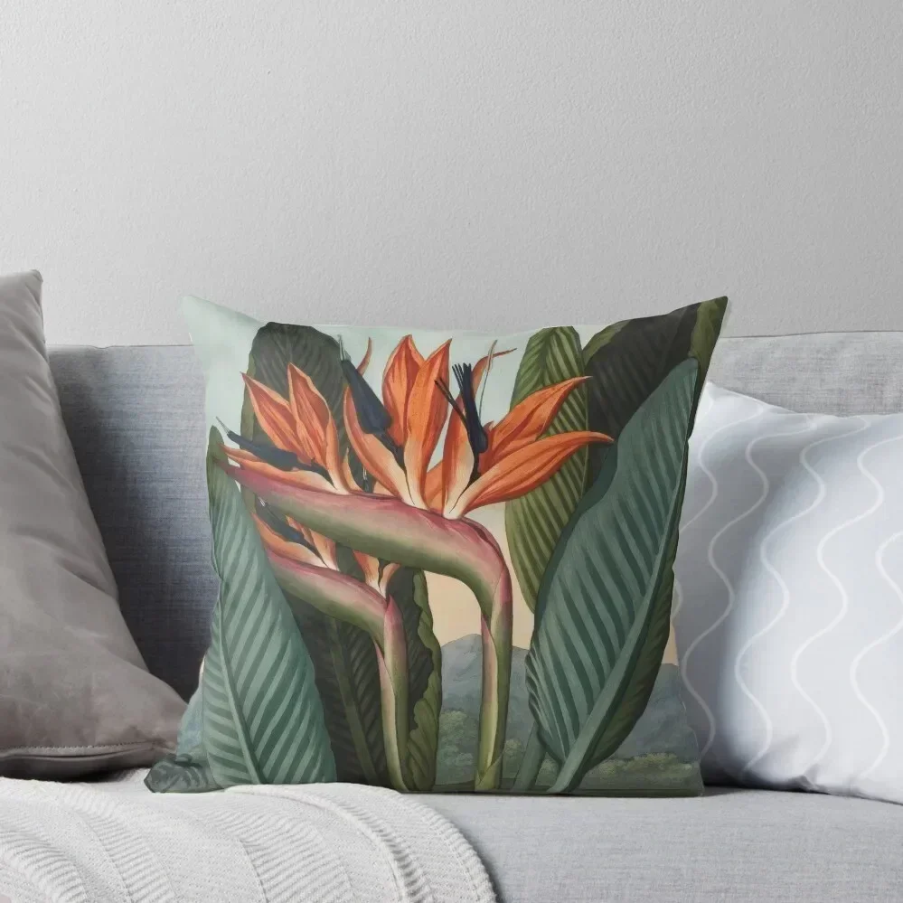 Botanical illustration: Bird of Paradise (Strelitzia) – State Library Victoria Throw Pillow autumn pillowcase pillow