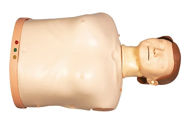 GD/CPR10175 General Doctor High Quality Half-Body CPR Simulator for Training, CPR Training Manikin