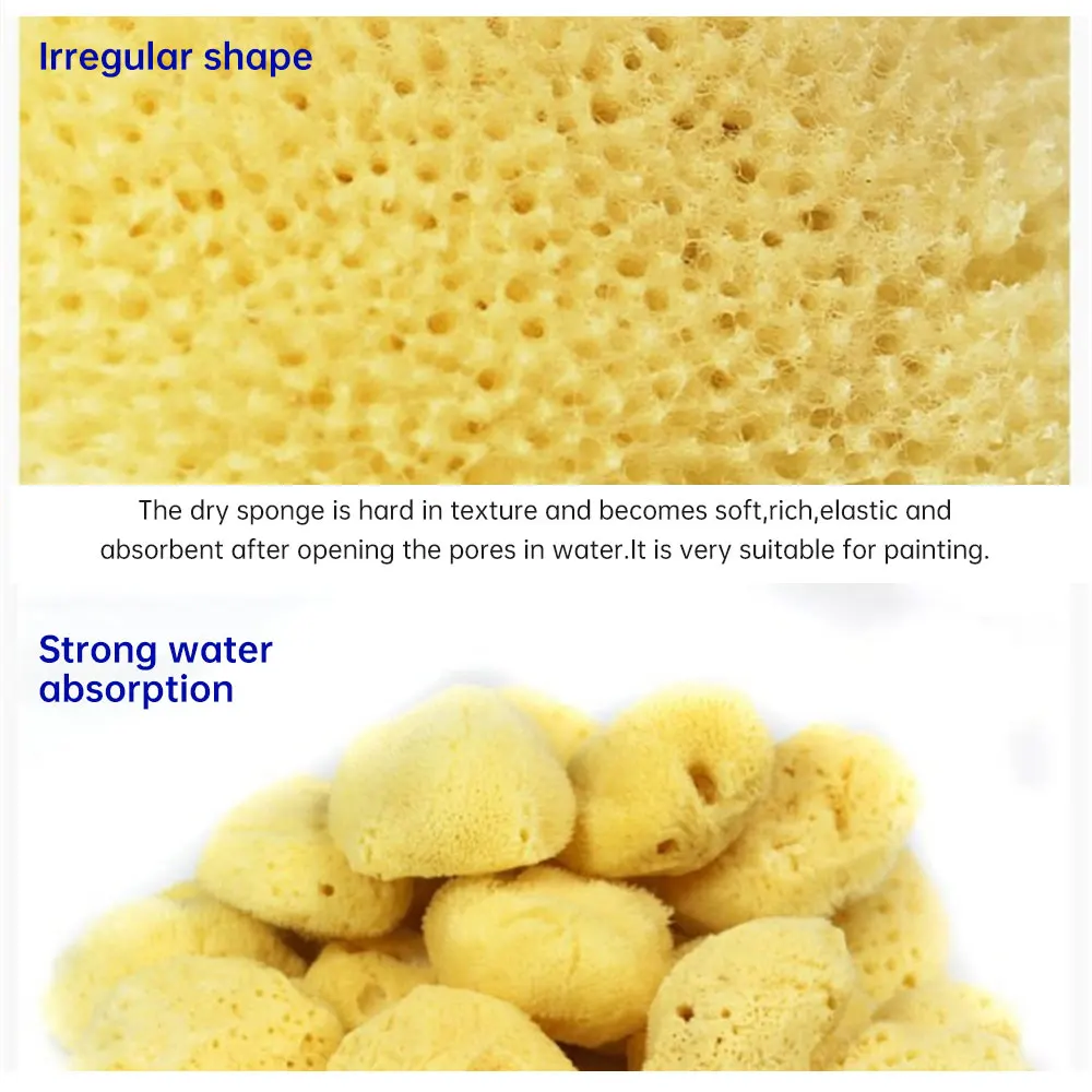 1~5PCS Environmentally Friendly Art Sponge Strong Water Absorption High Quality Texture Sponge Durable Professional Sponge