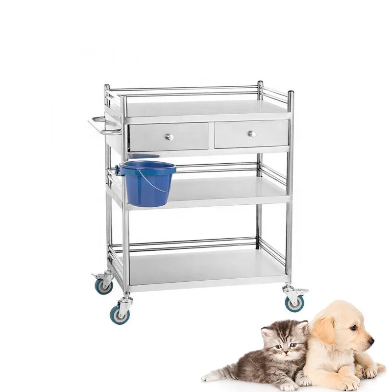 

Pet Hospital Equipment Veterinary Surgical Instrument Medical Trolley Cart Stainless Steel Medium Auxiliary Trolley with Drawer