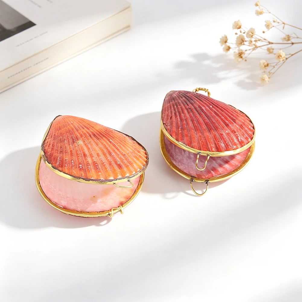Boho Natural Scallop Shell Jewelry Box Gold Trimmed Openable Shell Trinket Box Mini Seashell Storage Box for Rings Earrings