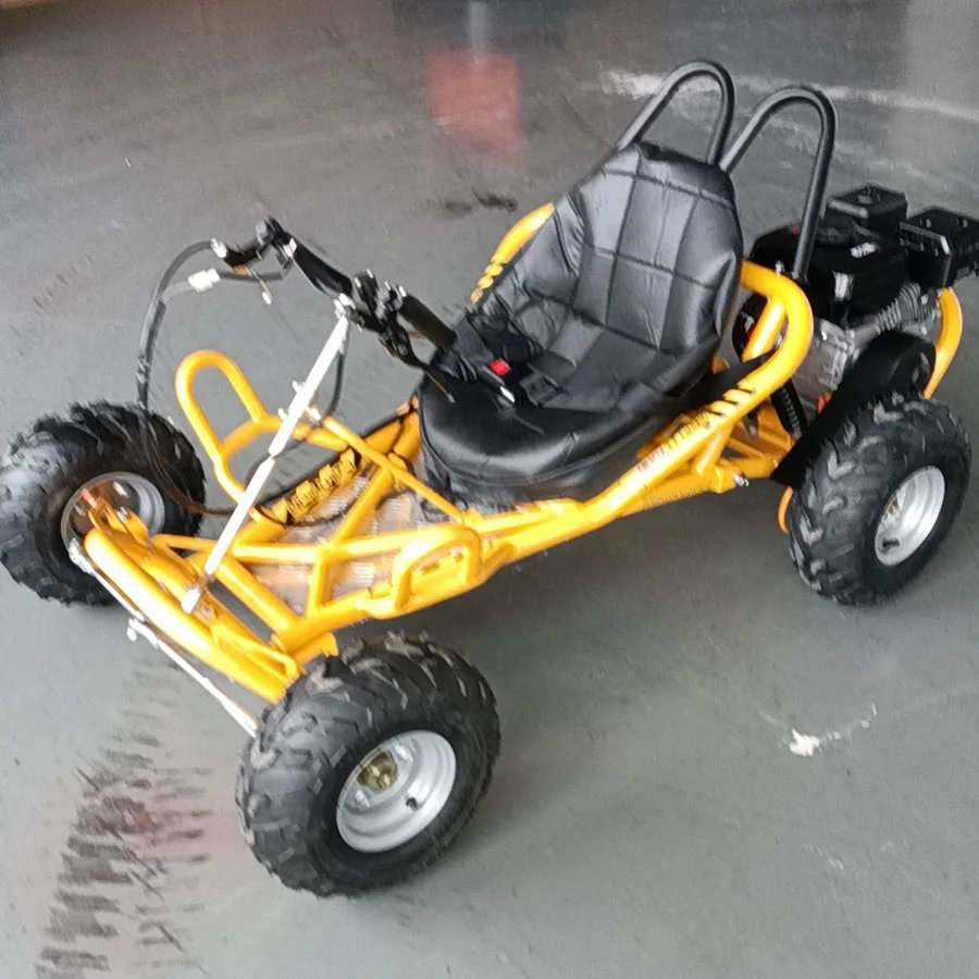 

Wet Clutch Transmission 196cc Quality Assurance Youngsters Drifting Gasolene Go-kart