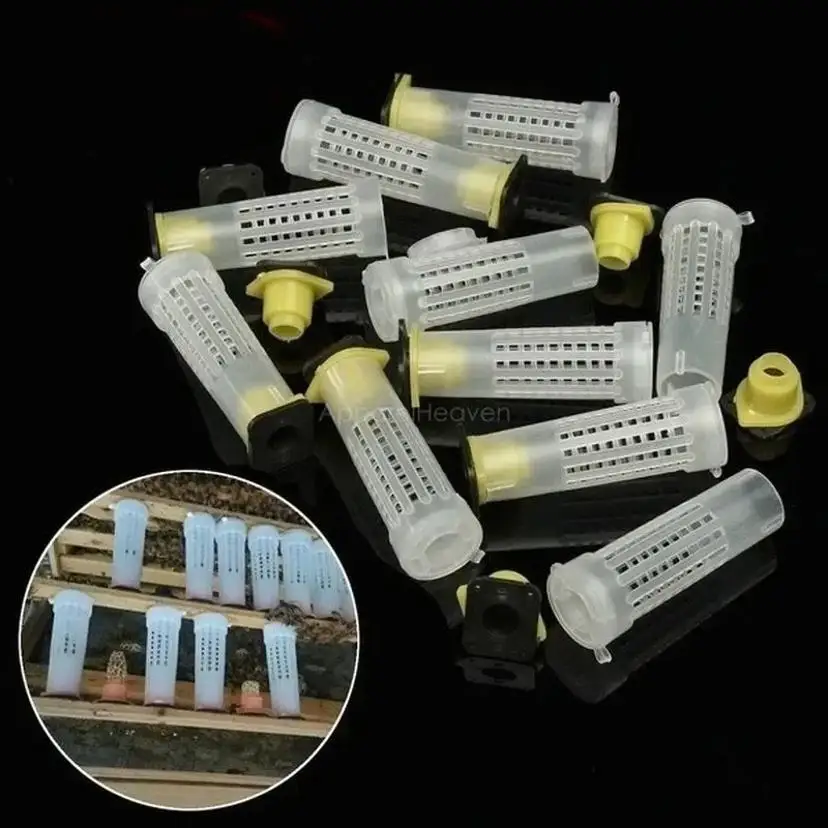 10 Pcs Beekeeping Bee Plastic Queen Rearing Cage Cup Box Protection Cover Catcher Protective Base Bees Tools Supplies Equipment