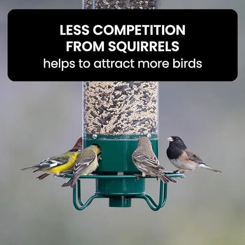 Thumbnail 3 - #30 Compare Squirrel Feeders Before You Buy