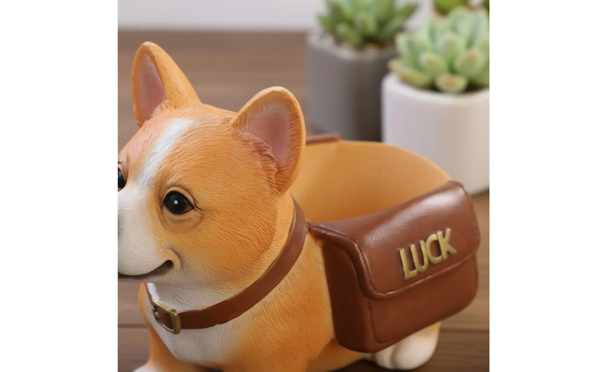 https://ae-pic-a1.aliexpress-media.com/kf/S916d234afcc84b61b5052c73304ecd3ef.jpg