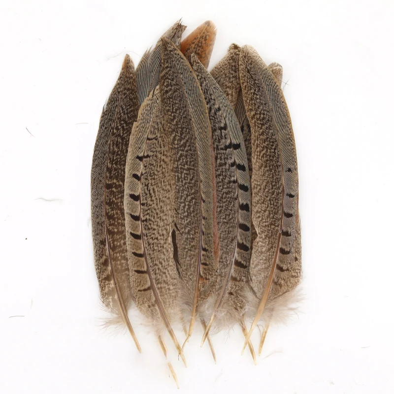 Natural Pheasant Feather Peacock Feather Eagle Small Plume for Crafts Handicraft Accessories Jewelry Creation Holiday Decoration