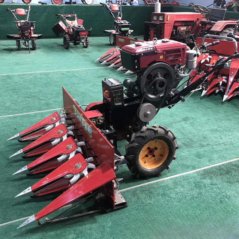 Small windrowing machine Walking lawn mower Alfalfa forage Rapeseed Prunella vulgaris Wormwood Perilla Corn straw harvester