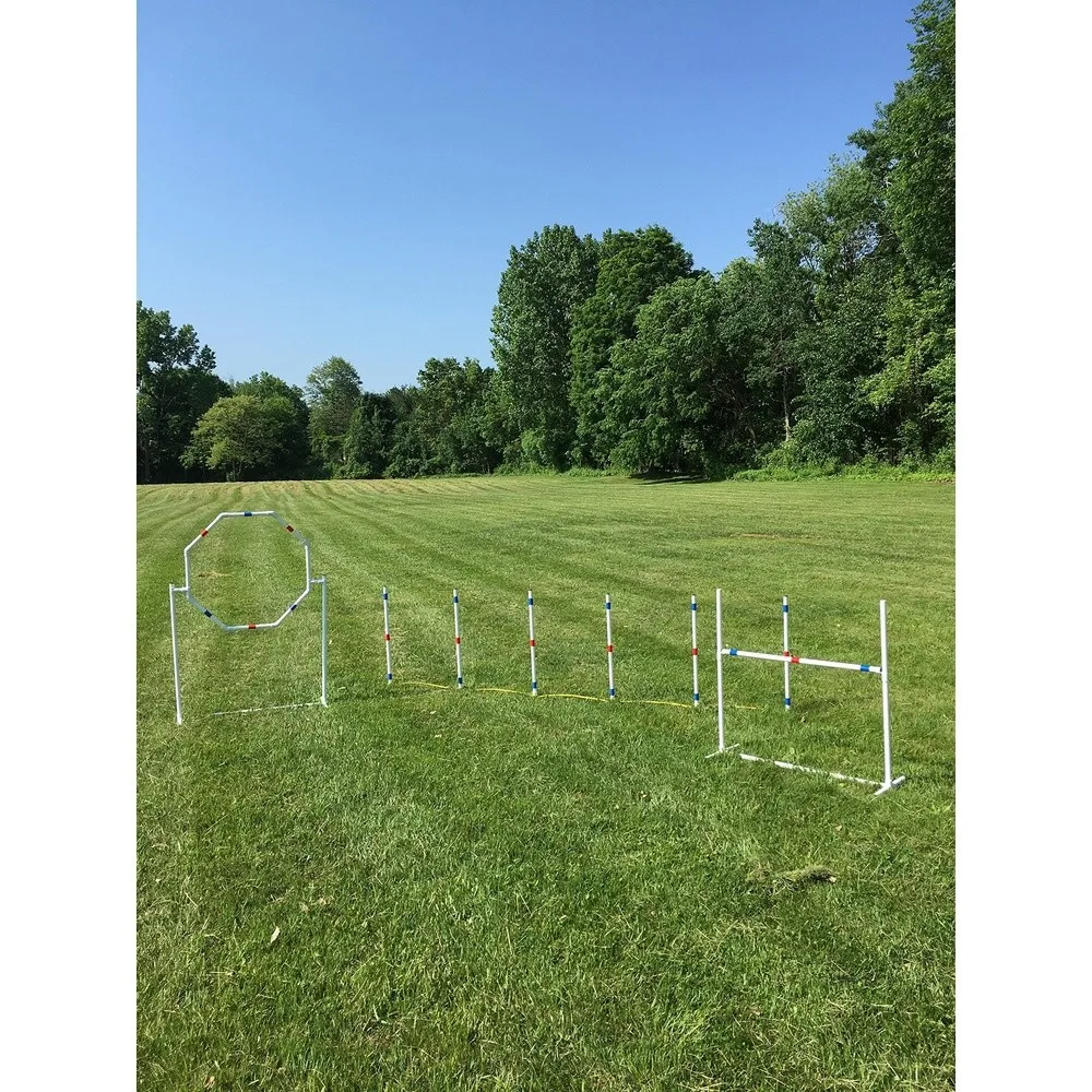 Dog Agility Training Equipment Course Set Weave Poles Dog Agility Jump with Dog Agility Jump Cups and Tire Jump