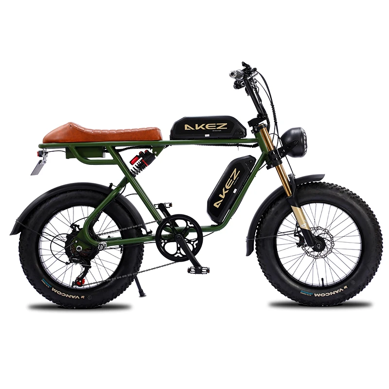 Fast Speed Motor Motorized Fat Tyre 20 Inch Ebike Electric Bike Dual 13 ah Battery City Road Vintage Adult