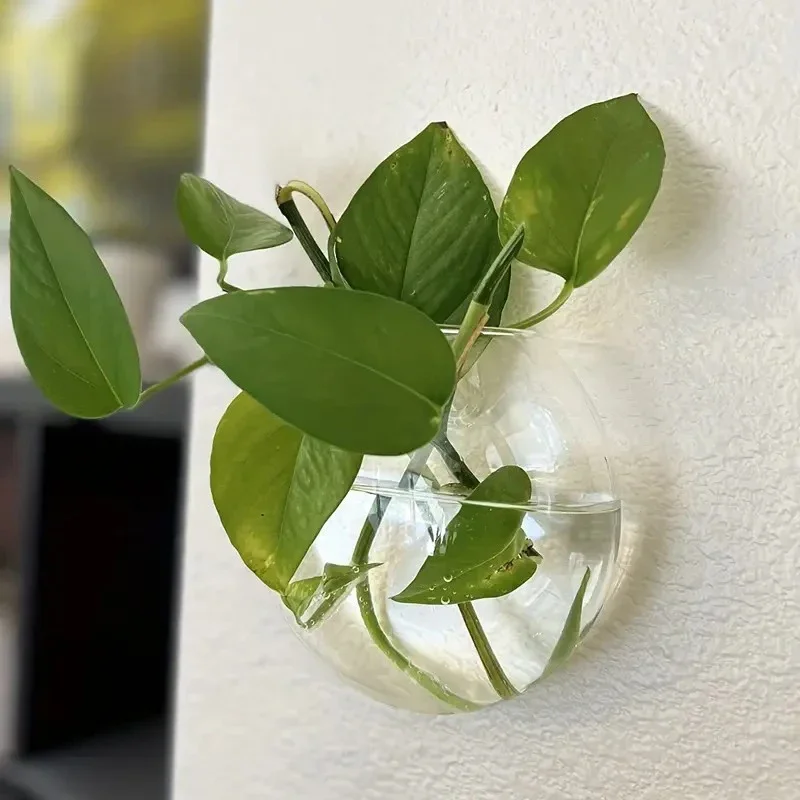 Glass Wall-Mounted Plant Greenhouse, Propagation Station, Wall-Mounted Vase, Air Plant Greenhouse, Home and Office Decor