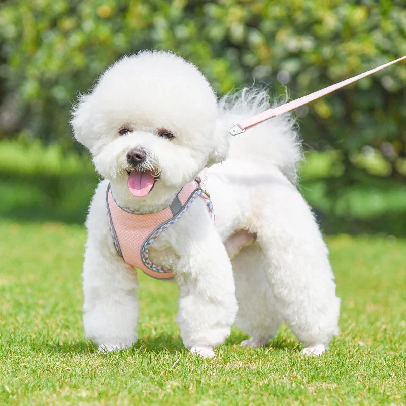 Thumbnail 4 - #18 Low Price Dog Seat Belt Harness Deals