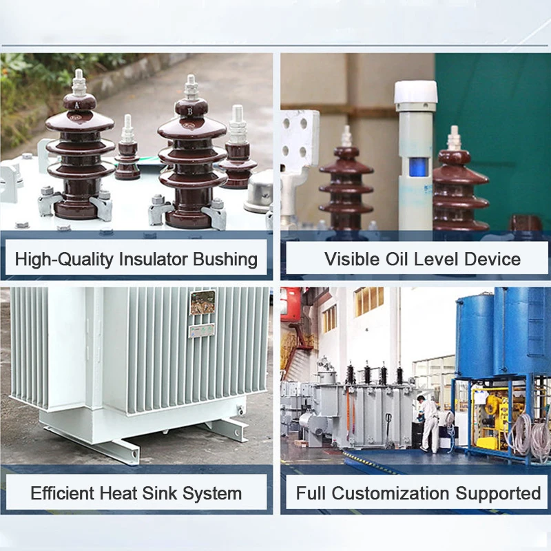 60Hz S21 Oil Filled Distribution Transformer 11kV to 400V 100kVA to 1600kVA Three Phase Electrical Equipment