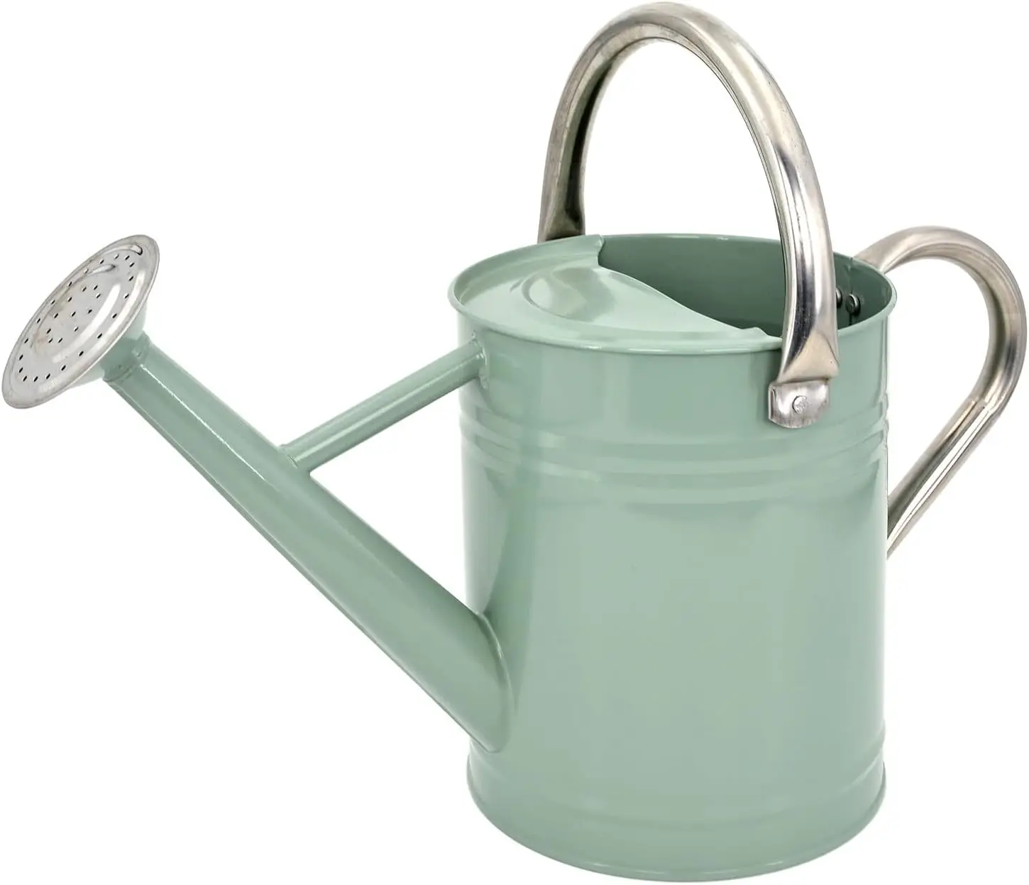 Regadera de Acero Galvanizado para Plantas de Exterior, Boquilla Extraíble, 1 Galón, Color Verde Crema, Decoración para Jardín y Hogar