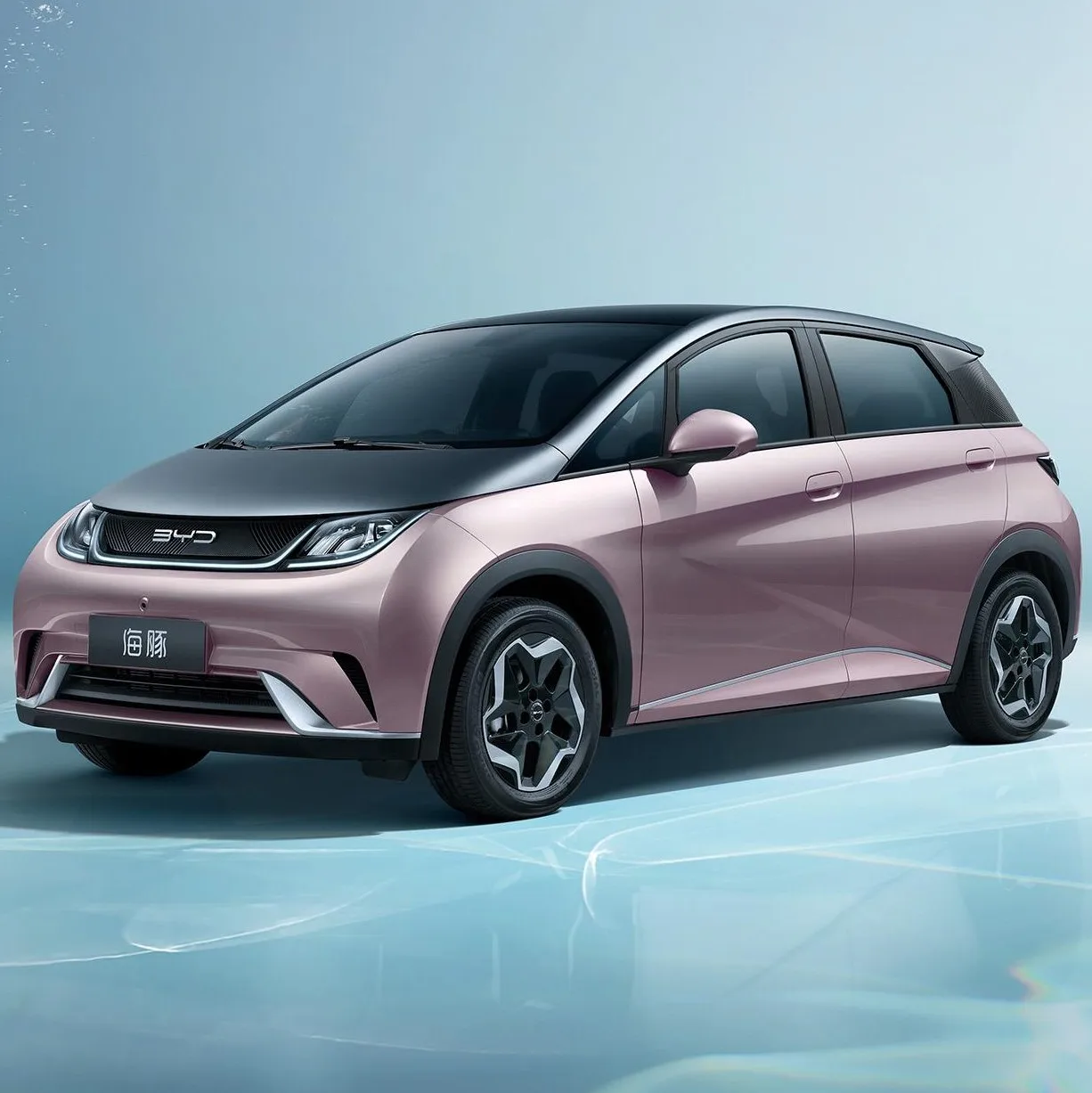 Suitable for BYD Dolphin Dolphin Rider Edition electric car fender modification fender mud tiles Easy No-Drill Installation view 6