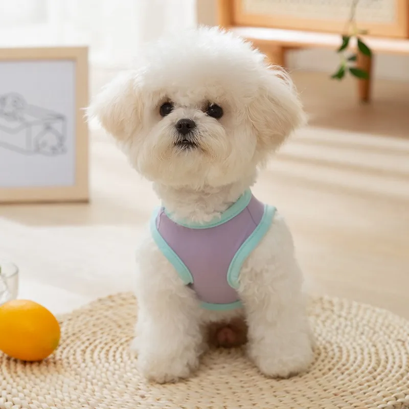 Puppy Cooler Cartoon Dog Clothes Spring and Summer Ice Silk Small Dog Clothing Teddy Sleeveless Two Legs Clothes