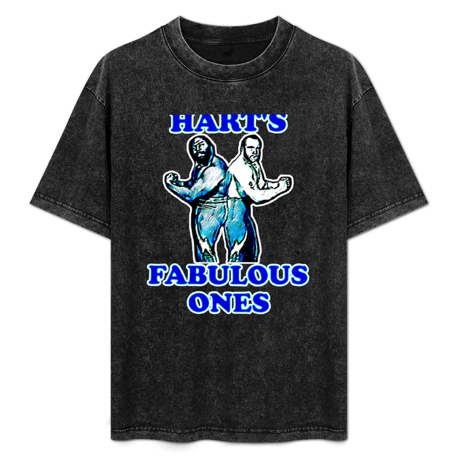 

Hart's Fabulous Ones Porkchop & Dream Machine Tag Team Memphis T-Shirt fashion shirts Clothing funny meme t-shirts t shirt men